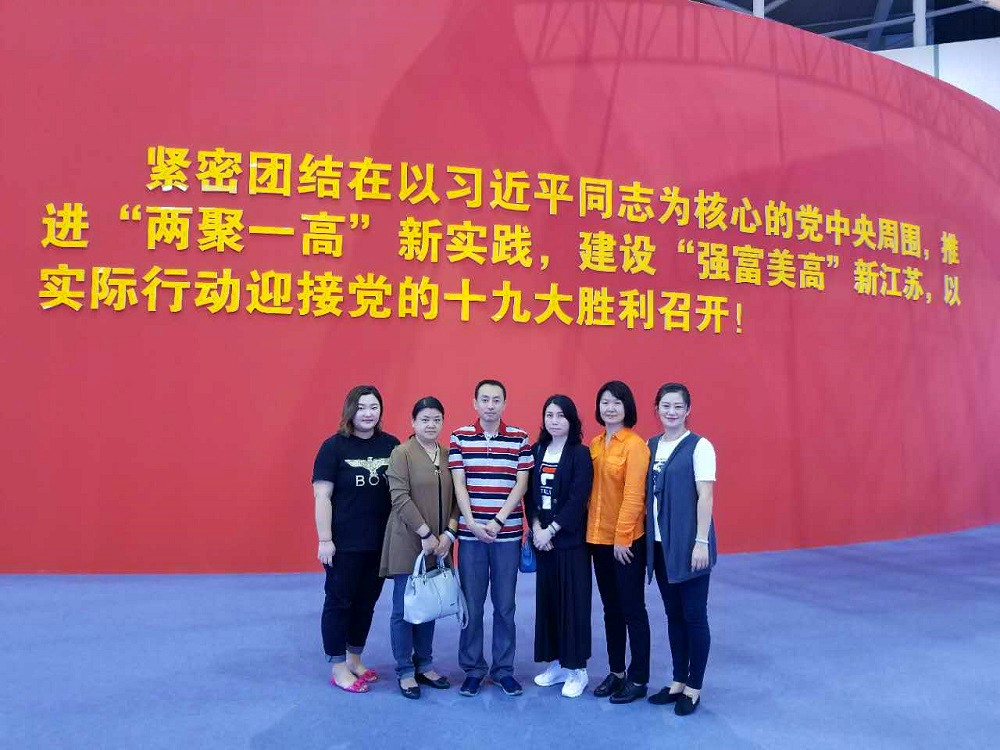 公司组织党员参观“砥砺奋进的江苏”大型主题图片展